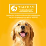 Pedigree Dog Food Adult Wet Pouch - view 4