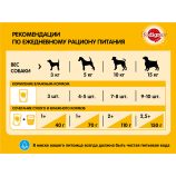Pedigree Dog Food Adult Wet Pouch - view 3