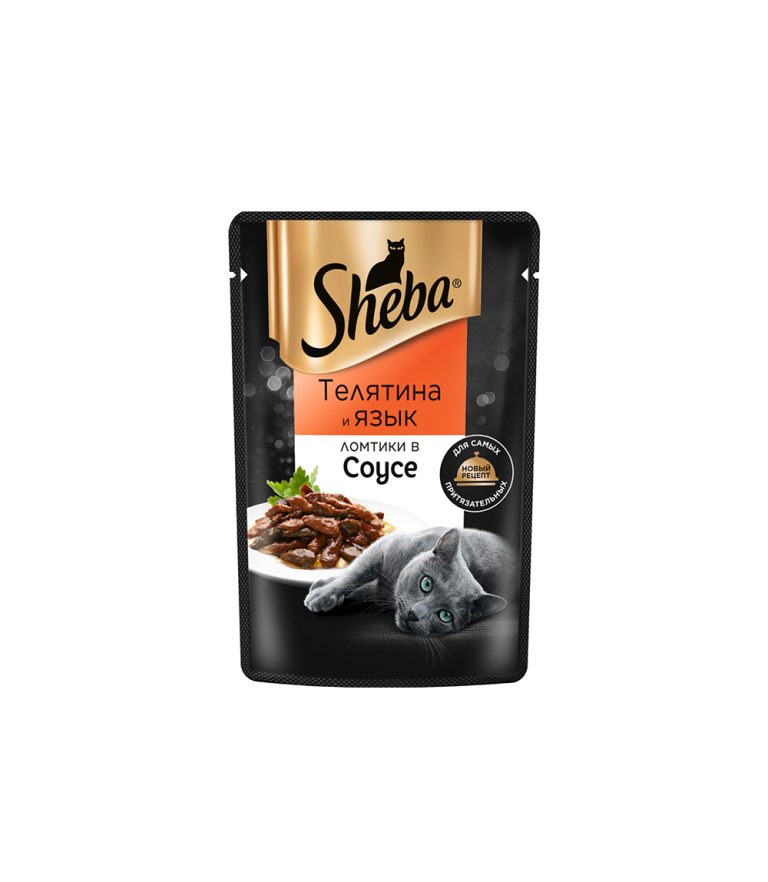 Wet vs Dry Cat Food: Which Is Better for Your Cat?