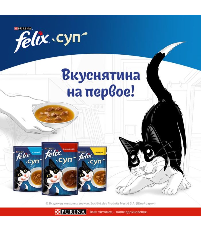 Felix Soup, Clear Soup for Cats with Delicate Pieces - view 7