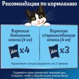 Felix Soup, Clear Soup for Cats with Delicate Pieces - view 3