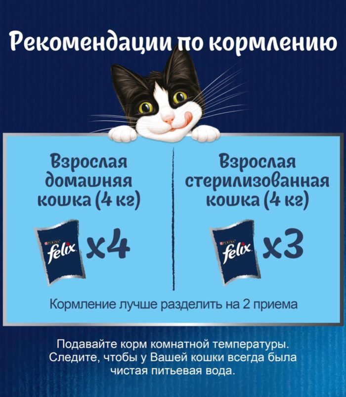 Felix Soup, Clear Soup for Cats with Delicate Pieces - view 3