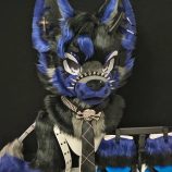 imgi_103_20260826131856