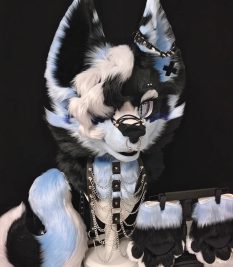 imgi_70_20260922110705